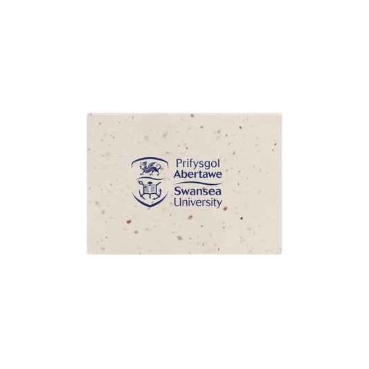 Seeded Sticky Note Set